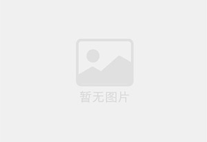 烯丙基胺